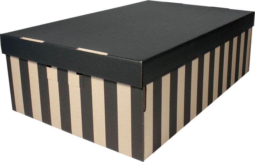 Úložná krabice s víkem 56 x 37 x 18 cm - černá (2 ks)