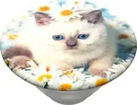 PopSockets PopTop Gen.2, PURR-FECT FLOWER, výměnný vršek