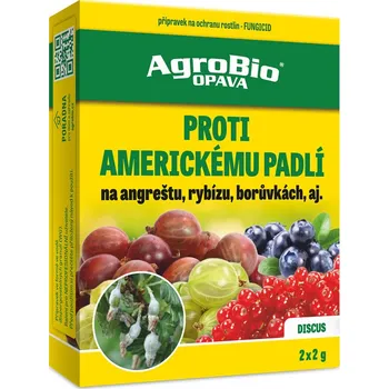 Postrik Cerneho Rybizu