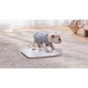 profily Mi Smart Body Fat Scale 2