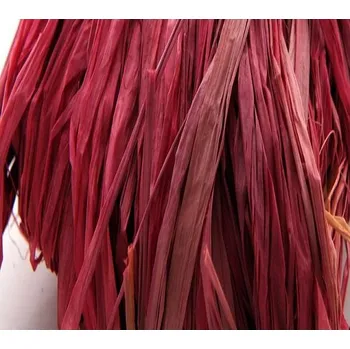 Stuha Přírodní lýko pro dekorační účely, RAFIA 2,5 dkg Varianta: bílá - bělená