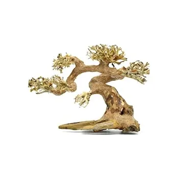 Dekorace do akvária MACENAUER Kořen Claw Bonsai, XS 25x18cm