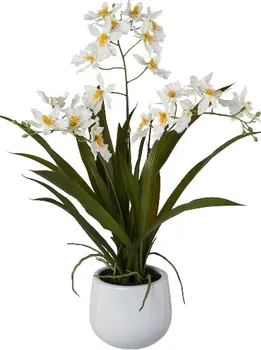 Umělá květina Gasper Gambia orchidej v květináči 50 cm