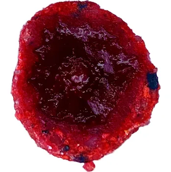 LK Baits CUC! Raisin lesní jahoda 50 g