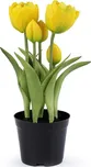 Stoklasa Tulipány v květináči 23 cm…
