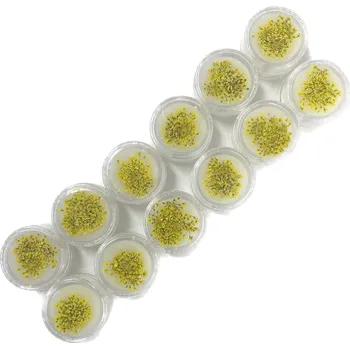 3D suché květiny Zlutá Nail Art 12ks