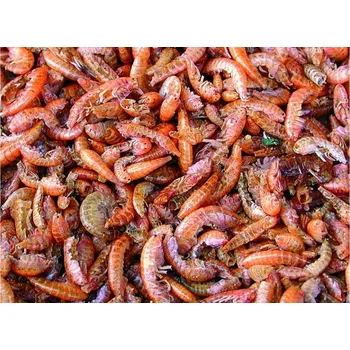 Krmivo pro rybičky Tripond Koi - Sušený blešivec potoční / Shrimps 100 g