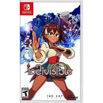 Hra pro Nintendo Switch Indivisible (Switch)