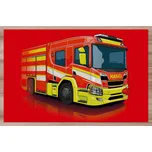 Prostírání CAS 20