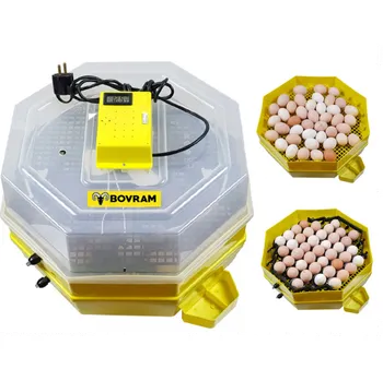 Umělá líheň Bovram Cleo 5x2 DTH líheň na vejce s dolíhní drůbeže