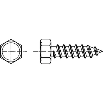 Šroub PROFISTYL DIN 7976C šroub do plechu se šestihrannou hlavou (ostrá špička) pozink Varianta: DIN 7976C samořezný šroub se šestihrannou hlavou ZnB 4,8x9,5