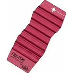 FRE - PRO - HANG TAG - Spiced Apple - vonná víceúčelová závěska - 1 ks