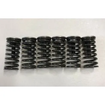 Motor pro motocykl Kawasaki - OEM Parts Kawasaki ZX6-R 600 Ninja sada originálních spojkových pružin 6ks