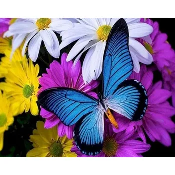 Diamantové malování Amparo Miranda® Diamantový obrázek Modrý motýl