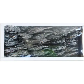 Zahradní dekorace REPENS FLOWER FROSTED BLACK TRAY (50PC)