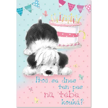 Česká hudba Blahopřání - Cizí pes, Lucie Vondráčková