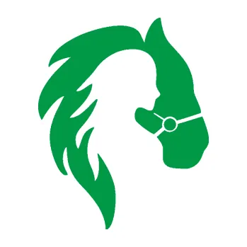 Samolepící dekorace SAMOLEPKA Kůň 101 pravá s láskou (12 - zelená) NA AUTO, NÁLEPKA, FÓLIE, POLEP, TUNING, VLASTNÍ TEXT, TISK, AUTOSAMOLEPKY.cz, POLEPY, OBRÁZEK, LOGO, SAMOLEPKY