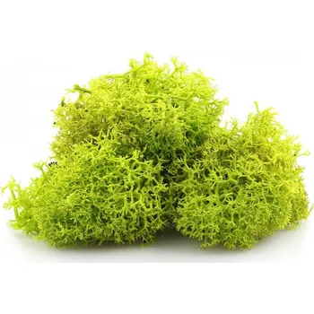 Umělá nástraha Secret Live Moss Light Green porce živého mechu 5g