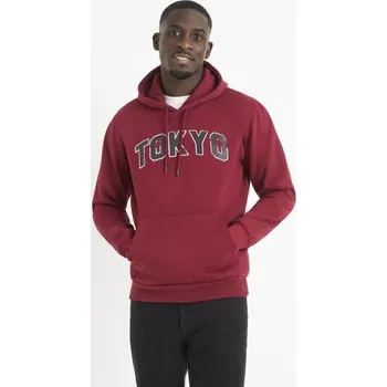 Pánská mikina Mikina Vetokyo s kapucí