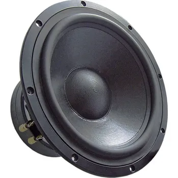 Elektronika Visaton TIW 300 8 OHM