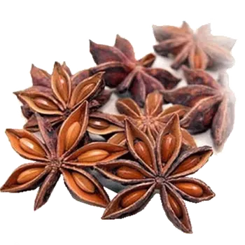 Koření Badyán celý 100g Zelené Drahokamy