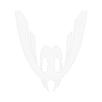 Polep vozidla SAMOLEPKA Kapota 024 (09 - bílá) NA AUTO, NÁLEPKA, FÓLIE, POLEP, TUNING, VLASTNÍ TEXT, TISK, AUTOSAMOLEPKY.cz, POLEPY, OBRÁZEK, LOGO, SAMOLEPKY