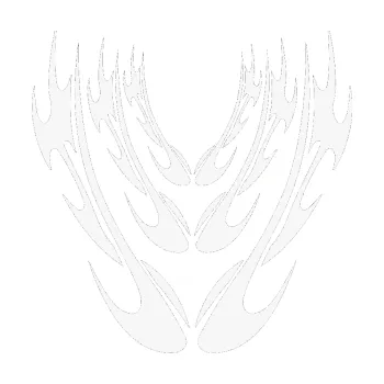 Polep vozidla SAMOLEPKA Kapota 004 (09 - bílá) NA AUTO, NÁLEPKA, FÓLIE, POLEP, TUNING, VLASTNÍ TEXT, TISK, AUTOSAMOLEPKY.cz, POLEPY, OBRÁZEK, LOGO, SAMOLEPKY