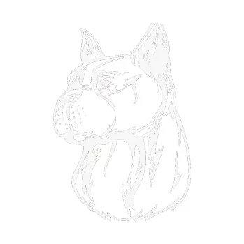 Polep vozidla SAMOLEPKA Pes 017 levá (09 - bílá) NA AUTO, NÁLEPKA, FÓLIE, POLEP, TUNING, VLASTNÍ TEXT, TISK, AUTOSAMOLEPKY.cz, POLEPY, OBRÁZEK, LOGO, SAMOLEPKY