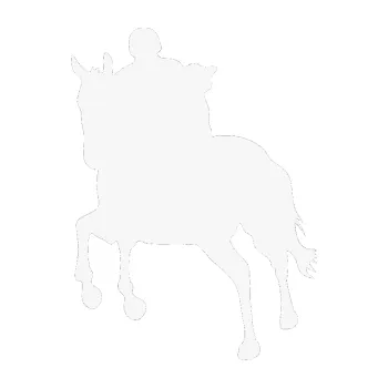 Samolepící dekorace Kůň 021 levá s jezdcem (09 - bílá) SAMOLEPKA NA AUTO, NÁLEPKA, FÓLIE, POLEP, TUNING, VLASTNÍ TEXT, TISK, AUTOSAMOLEPKY.cz, POLEPY, OBRÁZEK, LOGO, 3D STICKERS