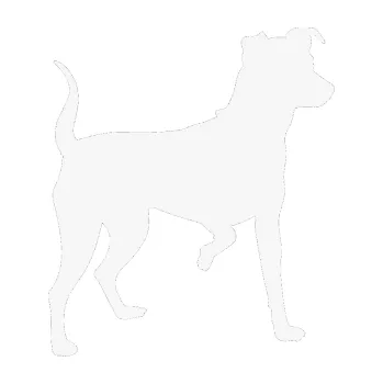 Polep vozidla SAMOLEPKA Pes 075 pravá Pražský krysařík (09 - bílá) NA AUTO, NÁLEPKA, FÓLIE, POLEP, TUNING, VLASTNÍ TEXT, TISK, AUTOSAMOLEPKY.cz, POLEPY, OBRÁZEK, LOGO, SAMOLEPKY