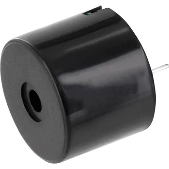 Zabezpečovací technika PSP231295 miniaturní bzučák Hlučnost: 95 dB Napětí: 12 V/DC nepřerušovaný tón 1 ks