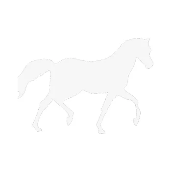 Samolepící dekorace Kůň 003 pravá (09 - bílá) SAMOLEPKA NA AUTO, NÁLEPKA, FÓLIE, POLEP, TUNING, VLASTNÍ TEXT, TISK, AUTOSAMOLEPKY.cz, POLEPY, OBRÁZEK, LOGO, 3D STICKERS