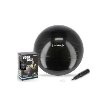 Gymnastický míč Gymnastický míč HMS YB01N 75 cm černý