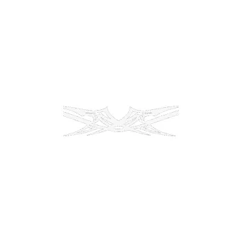 Polep vozidla Tetování 016 (09 - bílá) SAMOLEPKA NA AUTO, NÁLEPKA, FÓLIE, POLEP, TUNING, VLASTNÍ TEXT, TISK, AUTOSAMOLEPKY.cz, POLEPY, OBRÁZEK, LOGO, 3D STICKERS