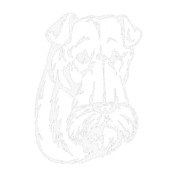 samolepka Pes 006 pravá Knírač (09 - bílá) SAMOLEPKA NA AUTO, NÁLEPKA, FÓLIE, POLEP, TUNING, VLASTNÍ TEXT, TISK, AUTOSAMOLEPKY.cz, POLEPY, OBRÁZEK, LOGO, 3D STICKERS