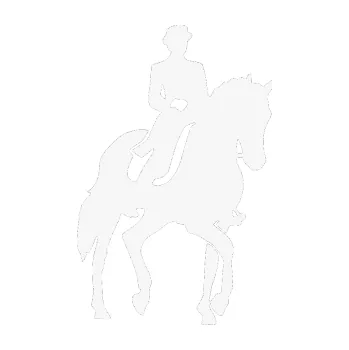 Samolepící dekorace SAMOLEPKA Kůň drezura pravá (09 - bílá) NA AUTO, NÁLEPKA, FÓLIE, POLEP, TUNING, VLASTNÍ TEXT, TISK, AUTOSAMOLEPKY.cz, POLEPY, OBRÁZEK, LOGO, SAMOLEPKY
