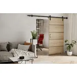 KIER Posuvné dveře LORNI PLUS | 100 cm Barva: dub sonoma