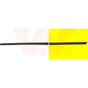 Lišta karosérie Ozdobná / ochranná lišta, dveře VAN WEZEL 4040426