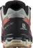 Dámská běžecká obuv Salomon XA Pro 3D V8 GTX W L41629400