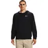 Pánská větrovka Under Armour Sportstyle Windbreaker 1361621-003