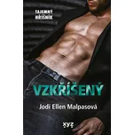 Tajemný hříšník: Vzkříšený - Jodi Ellen…