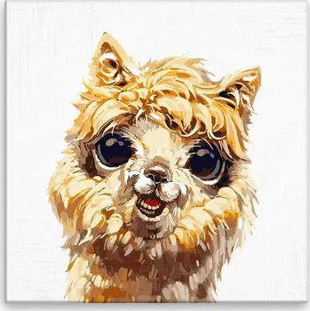 Obraz Obraz na plátně - Usměvavá lama - 40x40 cm - CZ výroba