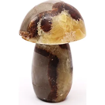 Drahý kámen Magieprirody.cz Houba z kamene Septárie 103 mm - 458 g #B468