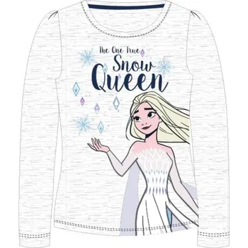Tričko dlouhý rukáv šedé Frozen 110