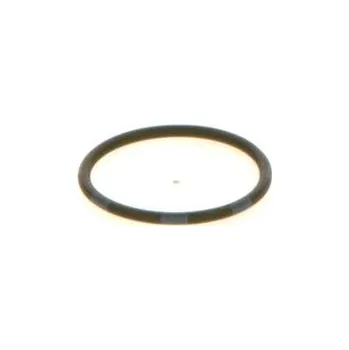 Těsnění motoru Pryžový kroužek BOSCH 1 410 257 029