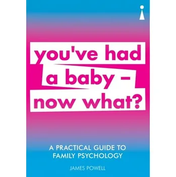 A Practical Guide to Family Psychology - Powell, James L.
