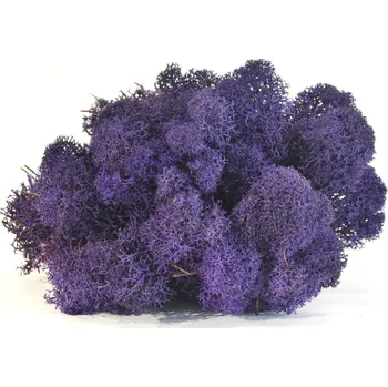 umělá květina Stabilizovaný LIŠEJNÍK (sobí mech) Canopy | NACHOVÝ | 100 g