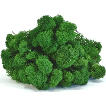 umělá květina Stabilizovaný LIŠEJNÍK (sobí mech) Canopy | PŘÍRODNĚ ZELENÝ | 100 g