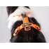 Postroj pro psa Non-stop Dogwear Line 5.0 oranžový