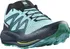 Pánská běžecká obuv Salomon Pulsar Trail L47210200